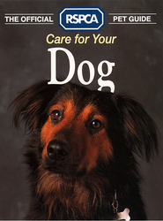Care for your Dog