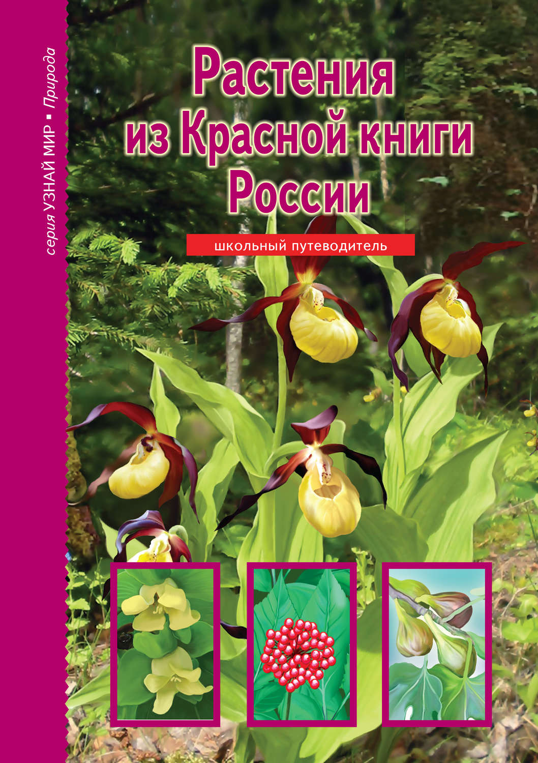 Красная книга растений башкортостана с картинками