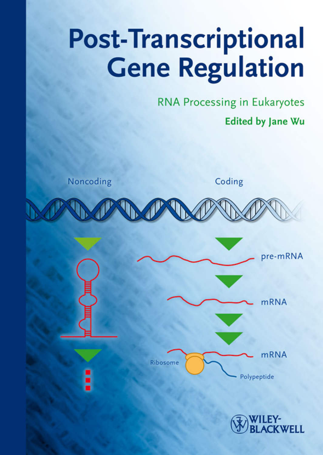 Importance Of Gene Regulation : Gene Regulation: Definition & Overview ...
